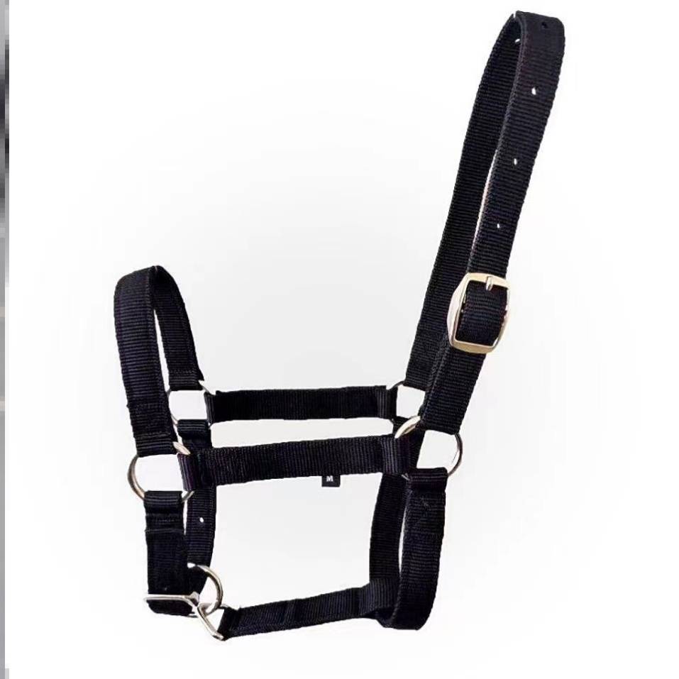 K18-MINUS 1 METRE BELOW HORSE TOW HEAD BLACK
